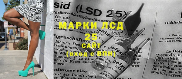 гидра Богородицк