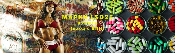 ешки Белокуриха
