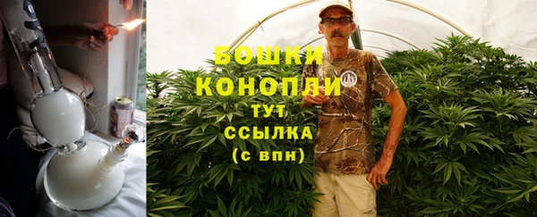 гидра Богородицк
