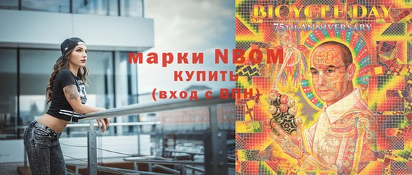 шишки Богородск