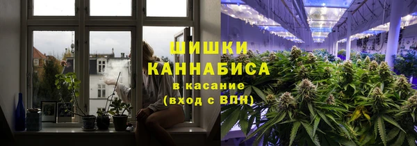 ешки Белокуриха