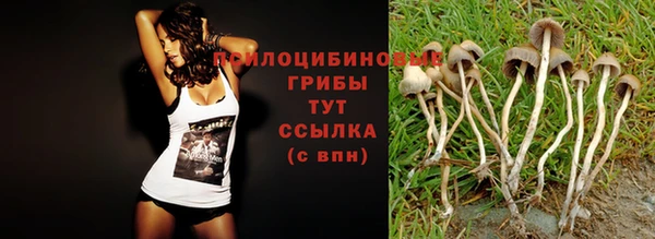 твердый Беломорск