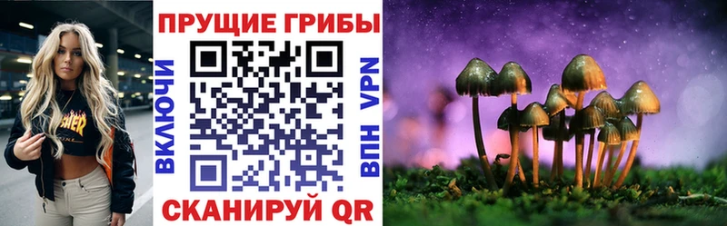 Псилоцибиновые грибы прущие грибы  Железноводск 